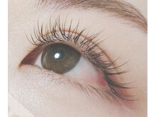 ラヴィ(La vie)/フラットラッシュ120本