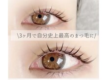 ルピナス(salon de Lupinus)