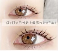 ルピナス(salon de Lupinus)