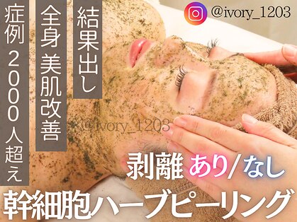 アイボリー(ivory)の写真