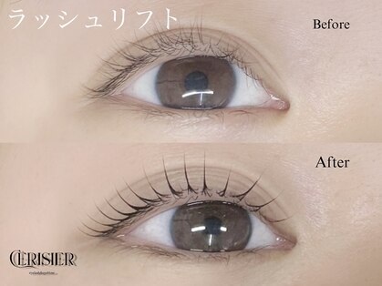 スリジエ(Cerisier)の写真