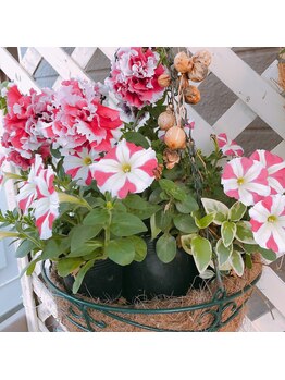 ノエビア ビューティスタジオ セレンディピティ(NOEVIR Beauty Studio Serendipity)/