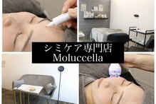モルセラ(Moluccella)