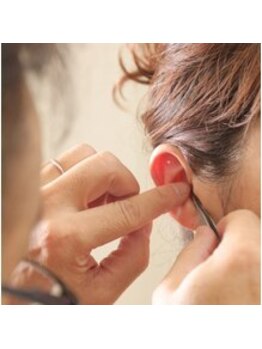 木村鍼灸整体院/耳つぼ