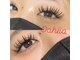 ダリア(Dahlia)の写真
