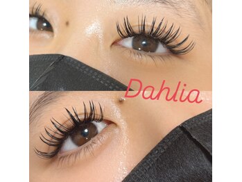 ダリア(Dahlia)
