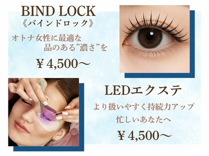 ラナ(Lana)の写真