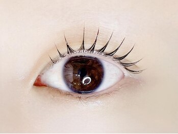 リノ カヒリ アイラッシュ(Lino kahili)/束感ラッシュリフト