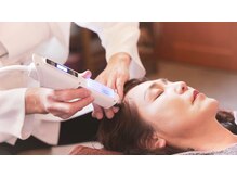 レメディ/グロスファクター育毛促進鍼噴霧