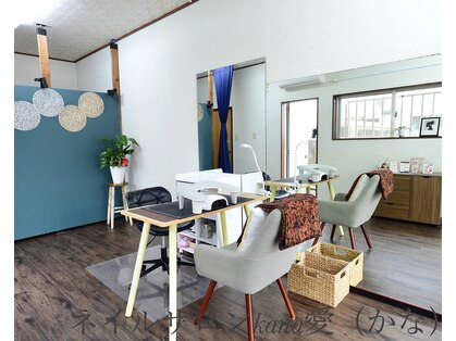 カナ(kana愛)の写真