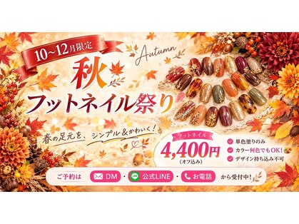 グラッセ(glasse)の写真