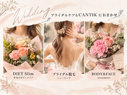 チャンティック(Cantik)の写真