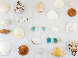 LAURA　POMPONNEE　Noble