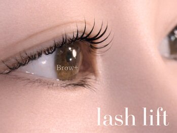 ブロウタス 新丸子店(BROW+)/まつげパーマ