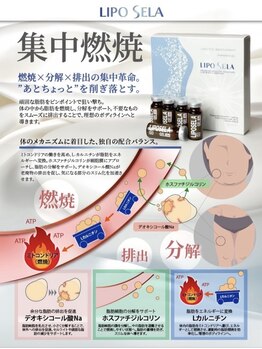 ミヤビ(MIYABI)/脂肪冷却/痩身/脂肪燃焼