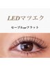 LEDマツエク100本【セーブルorフラット】