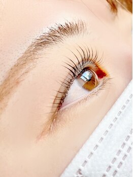 サッシーラッシュ(SASSY LASH)の写真/絶えないリピート！SASSYLASHファン続出☆人気のまつげパーマ【ラッシュリフトtr・コート付】もオススメ◎