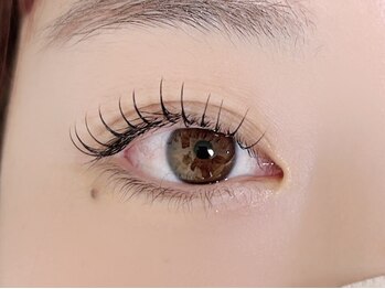 シエル(Ciel)/フラットラッシュ100本