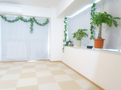 リフリラジー(Refrelagy)の写真