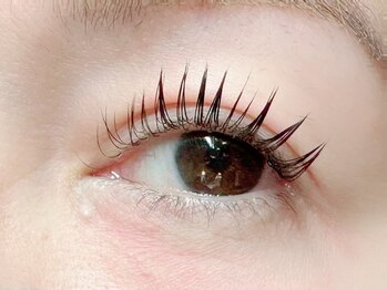 バモス(Vamos)/フラットラッシュ