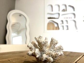 モアナ(MOANA)の写真/【錦糸町駅徒歩3分】リゾート地のようなお洒落空間で気分もrefresh♪お客様の"好き"を引き出すお手伝い…*