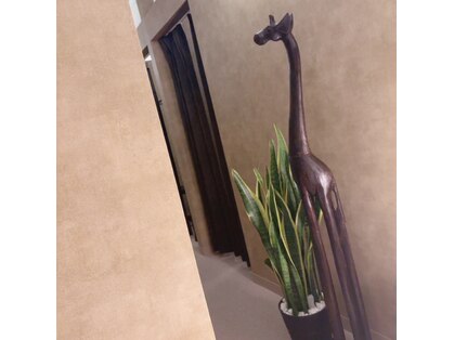 アジエスタ 五反田店(ASIESTA)の写真