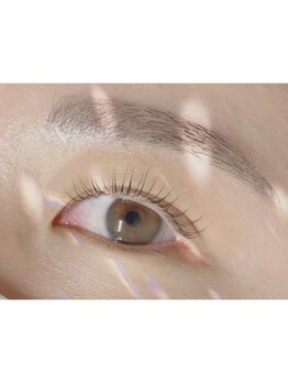 ディーメイプル(D maple)/まつ毛パーマ ¥6000