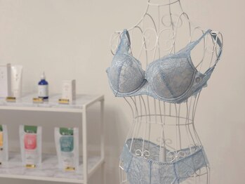 アムール シェリ(Amour Cheri)/理想のシルエットへ導く補正下着