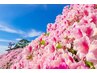 【☆季節限定☆】ホワイトニング<9分2回>＋幹細胞シートマスク¥13500→¥3980 