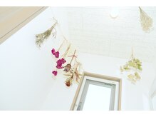 ここはな整体院/