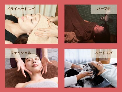 ニコ(nico)の写真