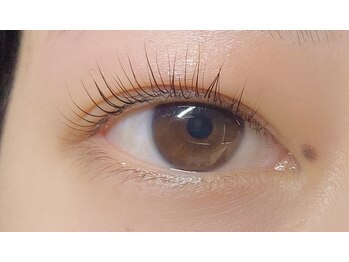 アイベル(Eybelle)/◎まつ毛パーマ：メーテルロッド