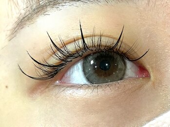 キャッツアイ東京 新宿店(Cat's eye TOKYO)/ワンホンマツエク