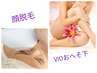 【レディース脱毛】VIO+へそ下+顔脱毛 　　￥8800