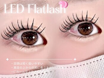 ルチア 美顔秘密基地(Lucia)/縦幅up×ナチュラル束感eye★