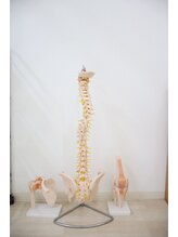 かなれ整骨院/整体/マッサージ/骨盤矯正/名東