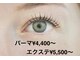 レイジースワンの写真