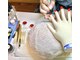 チアロ(Chiaro)の写真