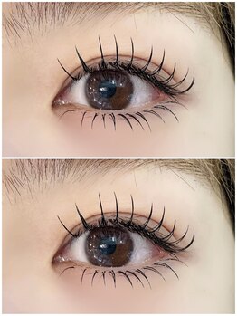 ランド(R&)/フラットラッシュ140本・下40本