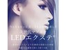 ［再来］LED×フラットラッシュ 120本