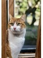 ユーセン 三宮店(YU-SEN)&nbsp;愛猫1