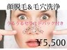 【黒ずみ・いちご鼻・毛穴詰まり】 お顔脱毛+毛穴洗浄+美白バック ¥9800→