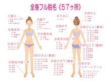 ミンティー 三宮店/都度払い脱毛/１８パーツ