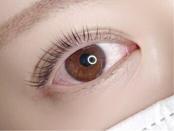 ラヴィアスプラス(LAVIAS+)の写真/こだわり商材でまつ毛の負担軽減×毎朝のメイクも快適に！貴女の魅力を最大限引き出す仕上がりを実現◎