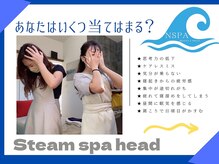 エヌスパ(NSPA)/3 ＮＳＰＡ Steam spa head