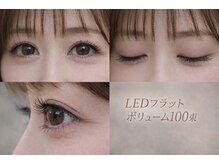 チック(chick)/LED100束上品に盛る王道デザイン