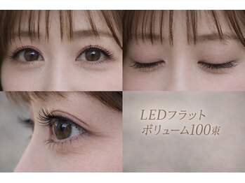 チック(chick)/LED100束上品に盛る王道デザイン