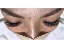 オランダエステティック(Holland Esthetics)/セーブル　(80/80) 160本