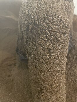 キマモリ(Kimamori)/