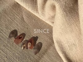 1月[special monthly]